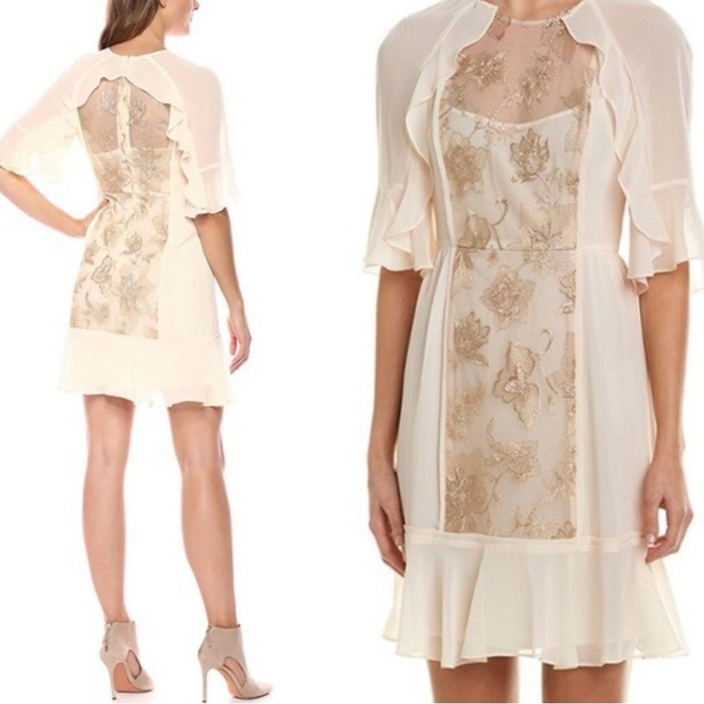 BCBG Max Azria Nude & Gold Embroidered Chiffon Dress | Size 2 - Picture 2 of 6